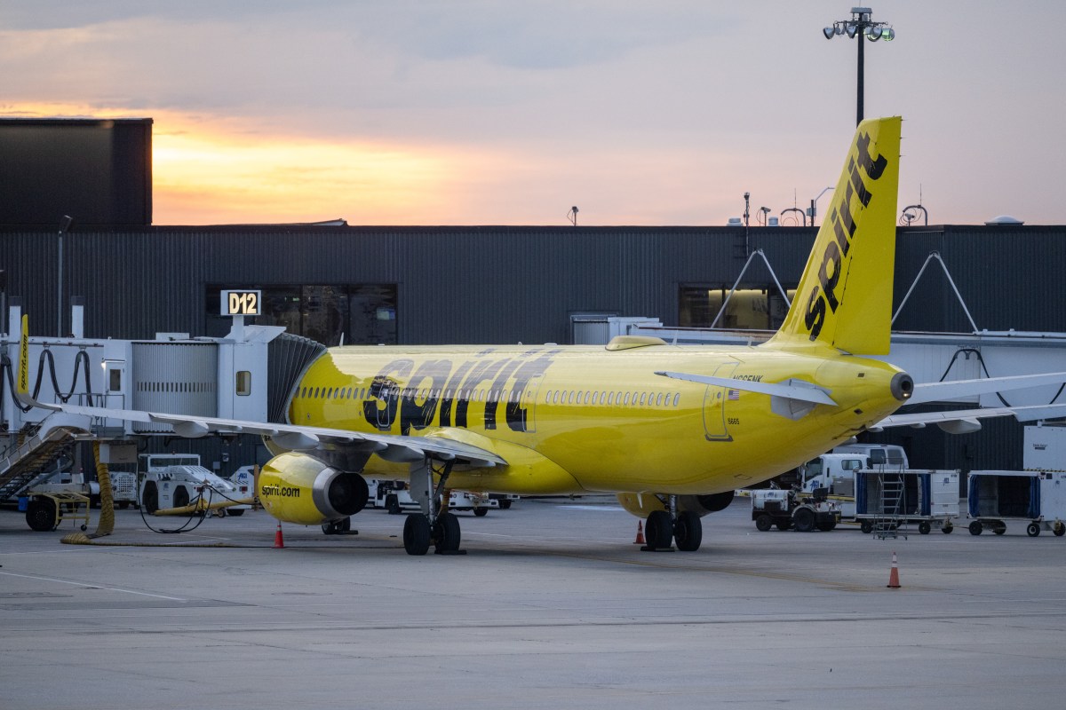 TikTok foydalanuvchisi Spirit Airlinesni sotib olish uchun ko'plab va'dalar yig'di — haqiqatga aylanarmikin?
