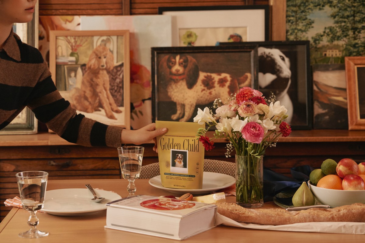 Drizzle bilan yangi yuqori toifa it yeguligi O'zbekistonga kiryapti?