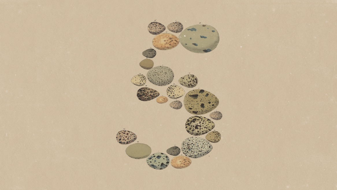 Anthropic Opus 5 ni chiqardi — Fable’dan yaxshiroqmi?